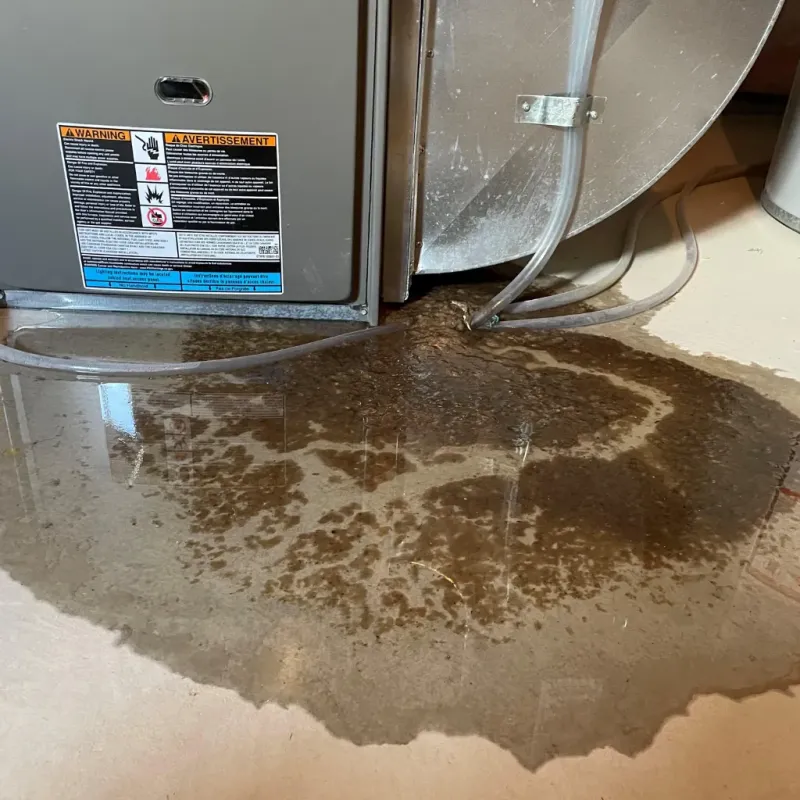 Appliance Leak Cleanup in Kailua, HI