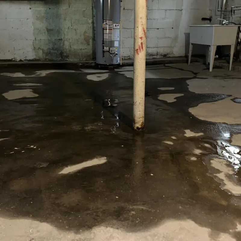 Emergency Water Extraction And Removal in Kailua, HI